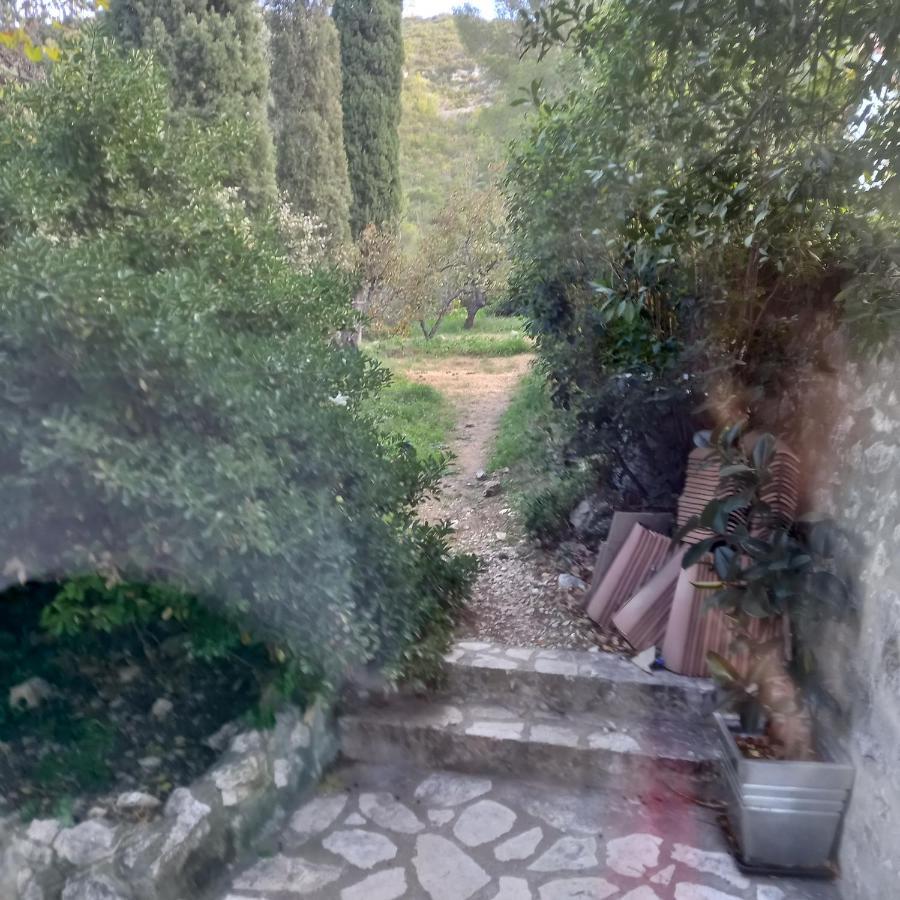 Petit Studio Parmi Les Pins Et Les Cypres Marseilles Exterior foto